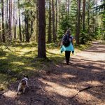 De leukste activiteiten voor 50-plussers